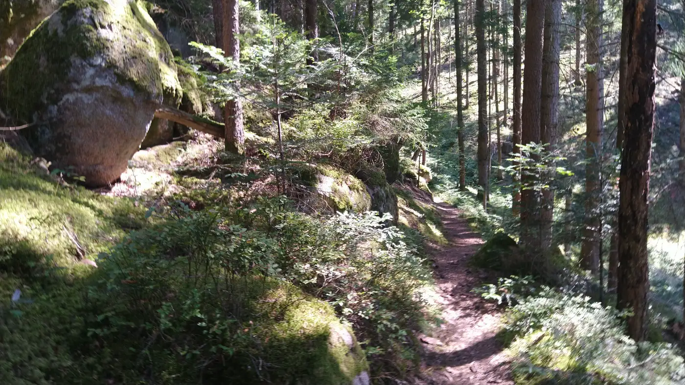 Bildtitel: Weg zur Burg Berneck