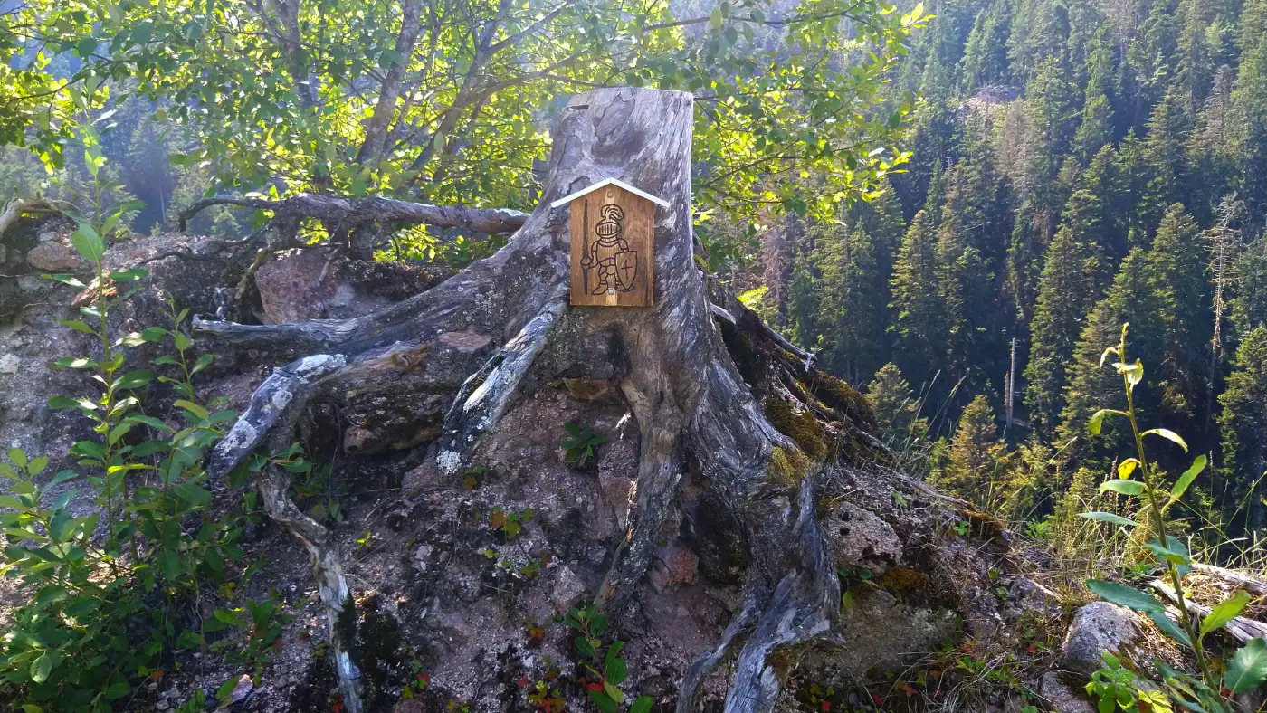 Bildtitel: Auf der Burgruine Berneck