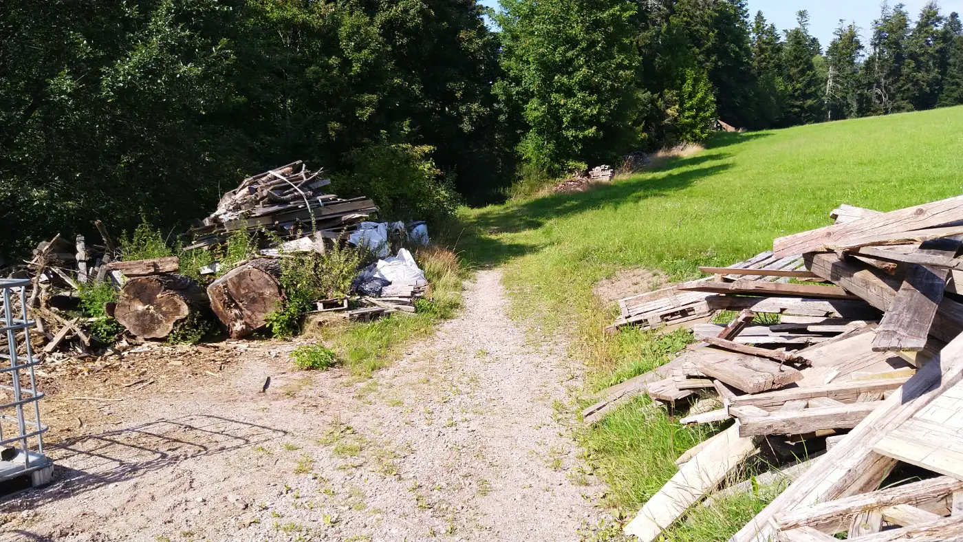 Bildtitel: Weg zurück nach Schramberg