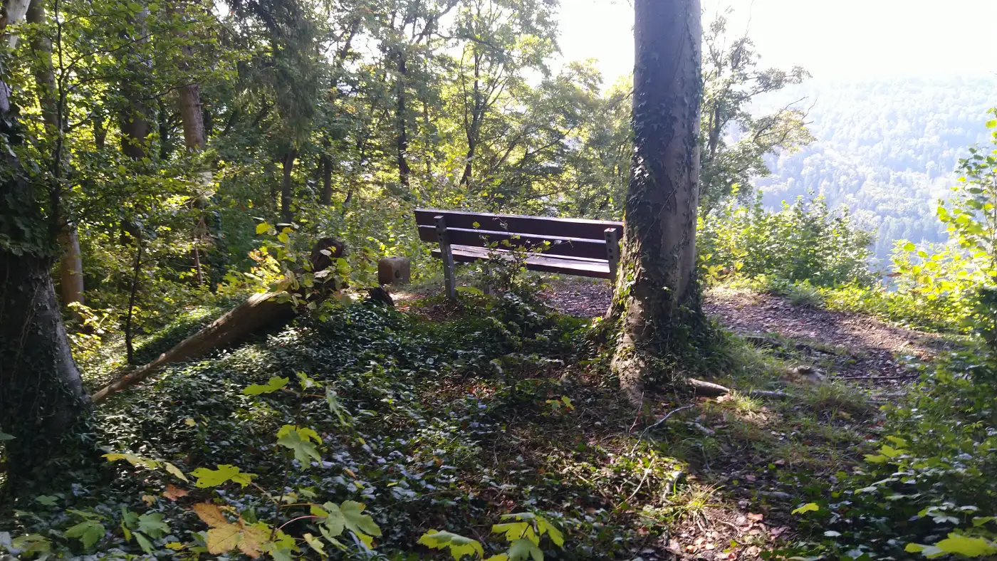 Bildtitel: Ehemalige Flakstellung als historisches Relikt im Wald