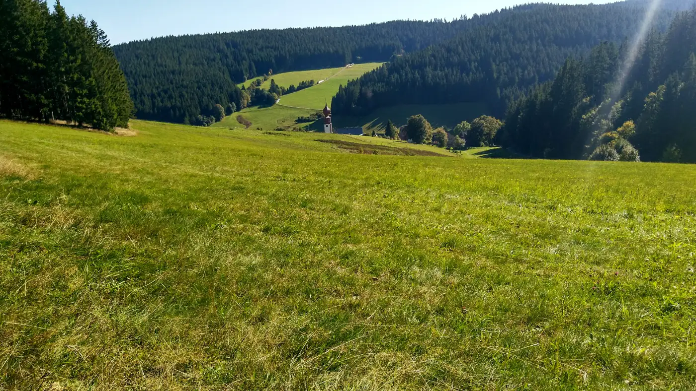 Bildtitel: Weide mit Blick auf den Zwiebel-Kirchturm der Kirche in Urach