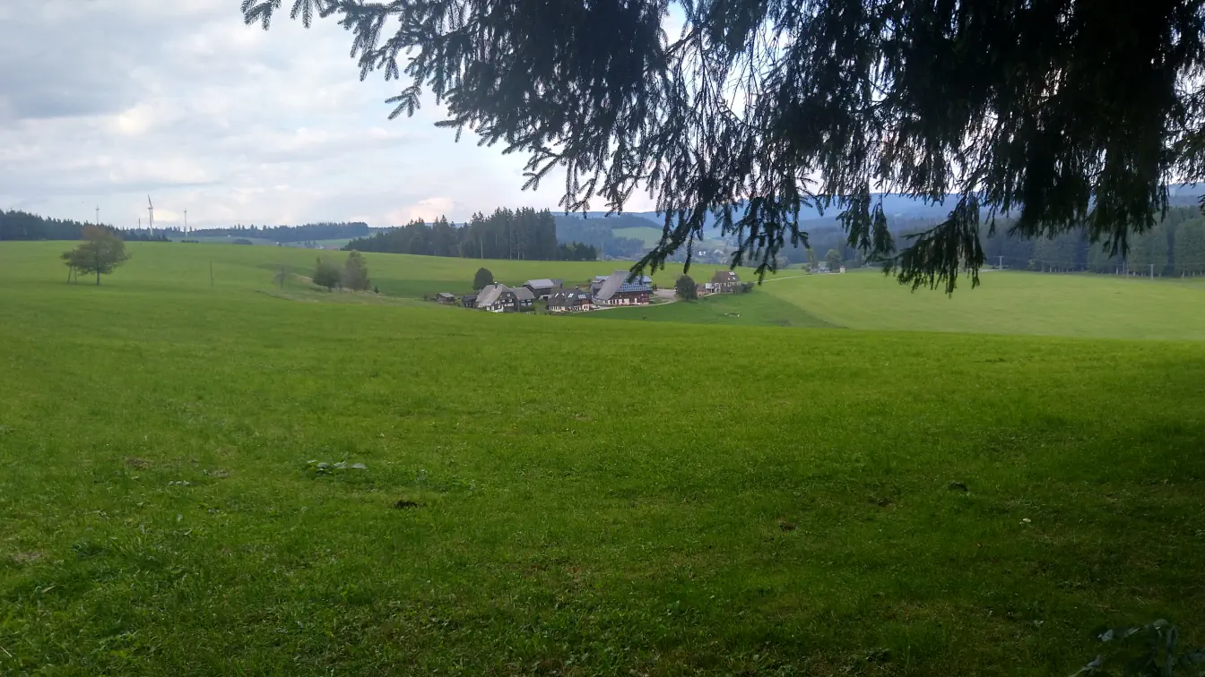 Bildtitel: Schwarzwaldhöfe am Oberen Fallengrund