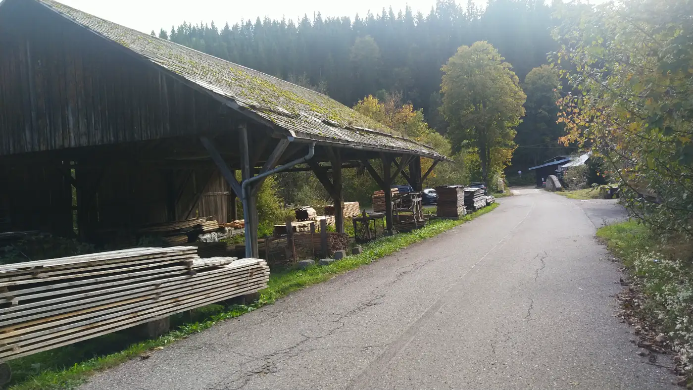 Bildtitel: Glasbachsäge zwischen Menzenschwand und St. Blasien im Schwarzwald