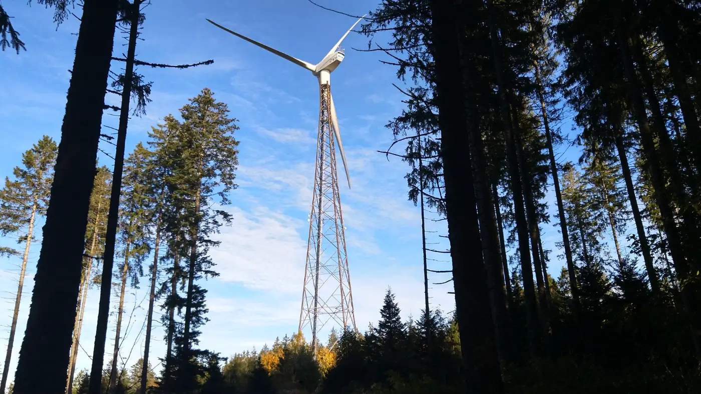Bildtitel: modernes Windenergie-Rad auf Anhöhe in Schonach, umgeben von Tannen