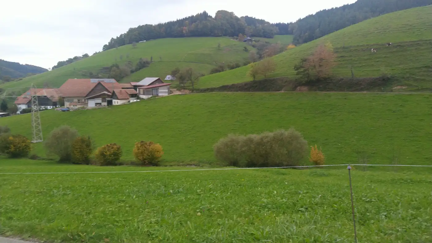 Bildtitel: Weiler Gürtenau im Schwarzwald
