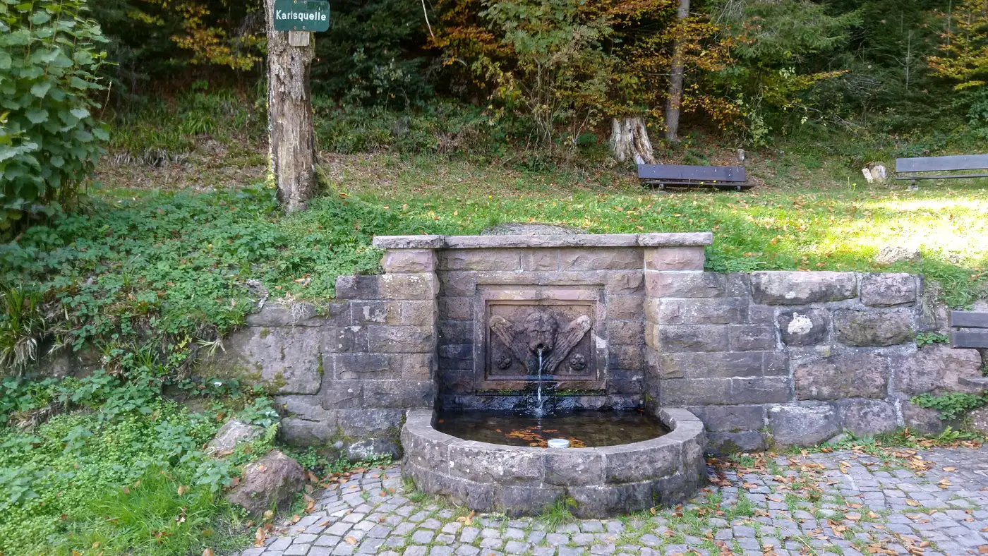 Bildtitel: Karlsquelle im Glaswald