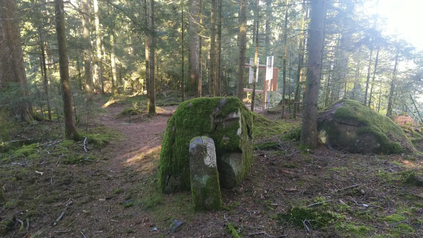 Bildtitel: Grenzstein am Reinerzauweg