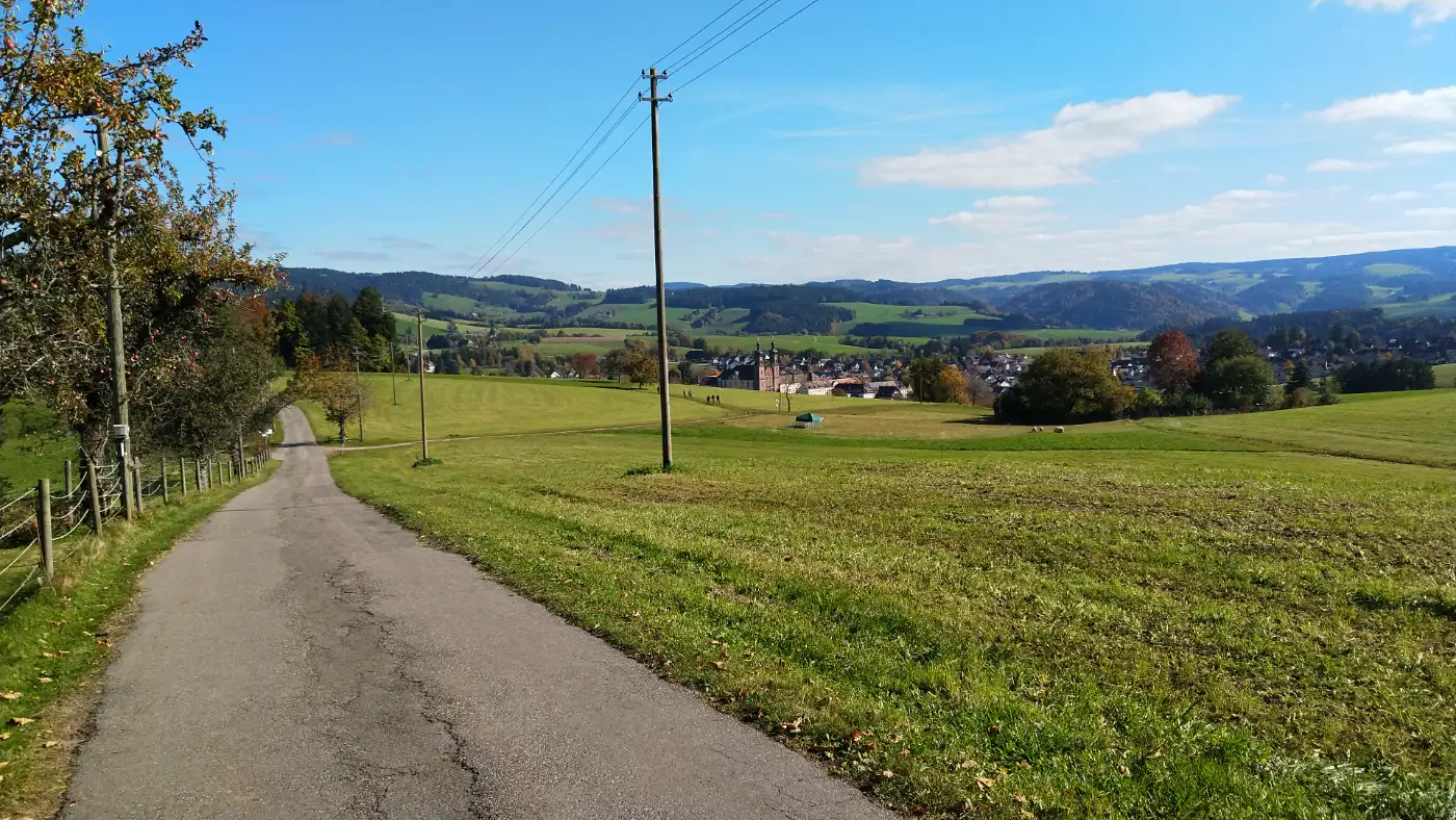 Bildtitel: Landstraße „Hornweg“ und St. Peter im Hintergrund