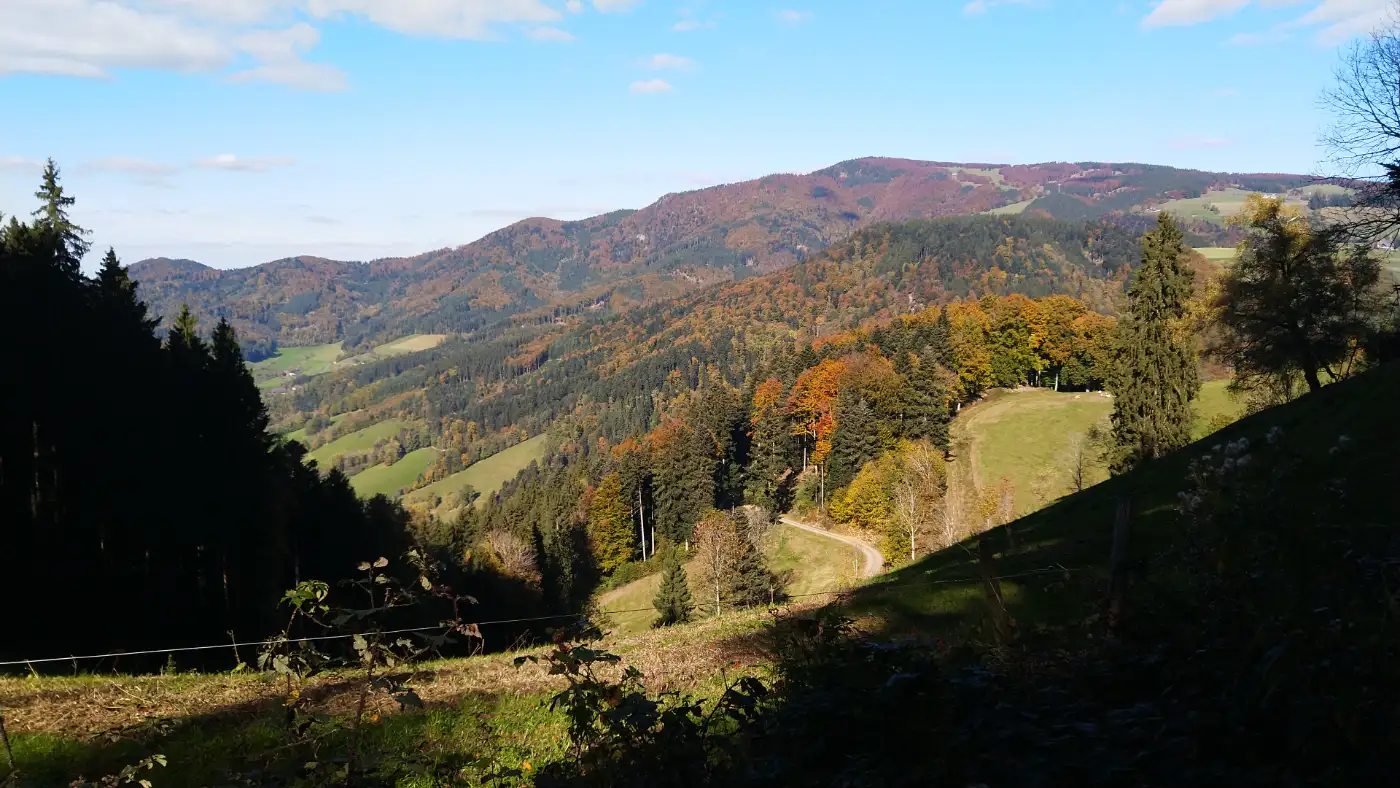 Bildtitel: Aussicht auf das Kandelmassiv