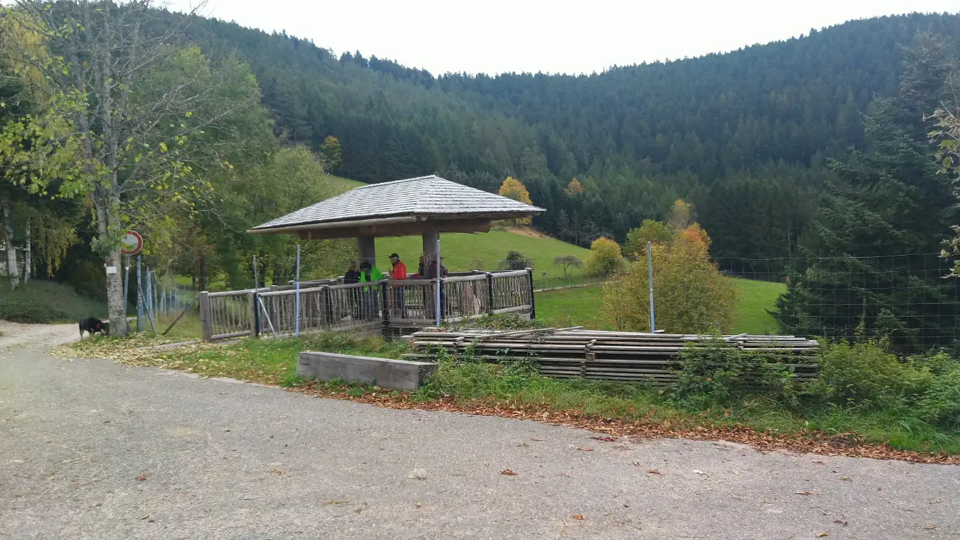 Bildtitel: Aussichtsplattform am Fräulinsberg