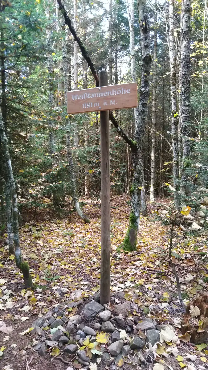 Bildtitel: Auf dem Gipfel der Weißtannenhöhe