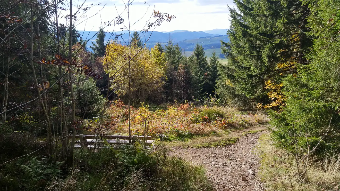 Bildtitel: Aussicht von der Weißtannenhöhe