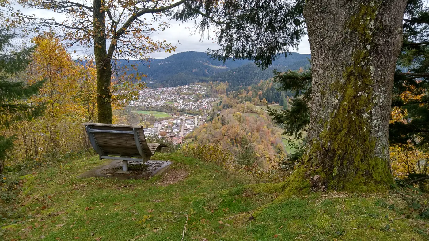 Bildtitel: Blick auf Schiltach von der Panoramabank