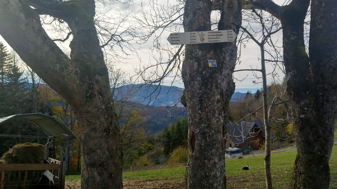 Bildtitel: Wegweiser nach Hinterzarten am Nessellachenweg