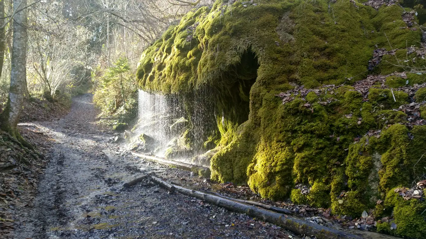 Bildtitel: Dietfurter Wasserfall in der Wutachschlucht im Schwarzwald