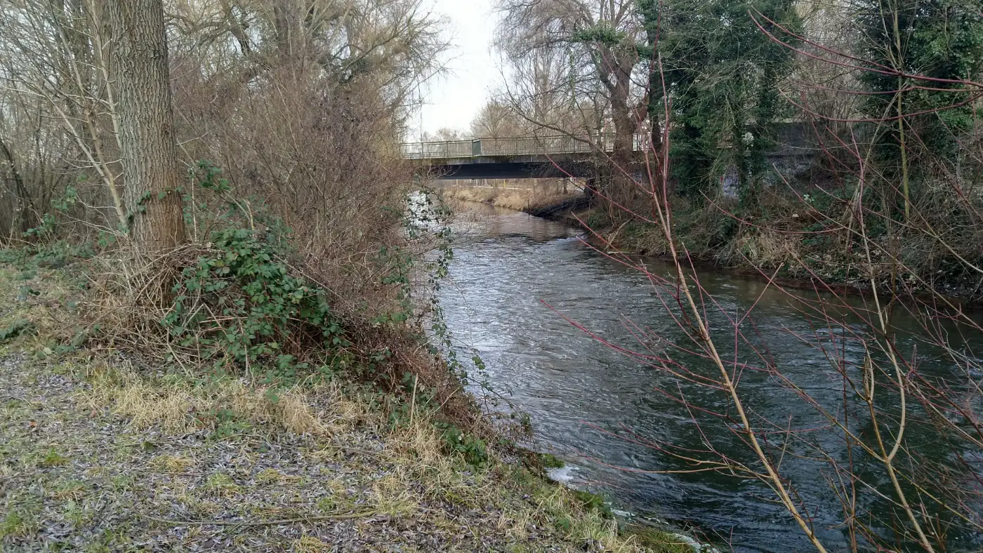 Bildtitel: entlang der Aach