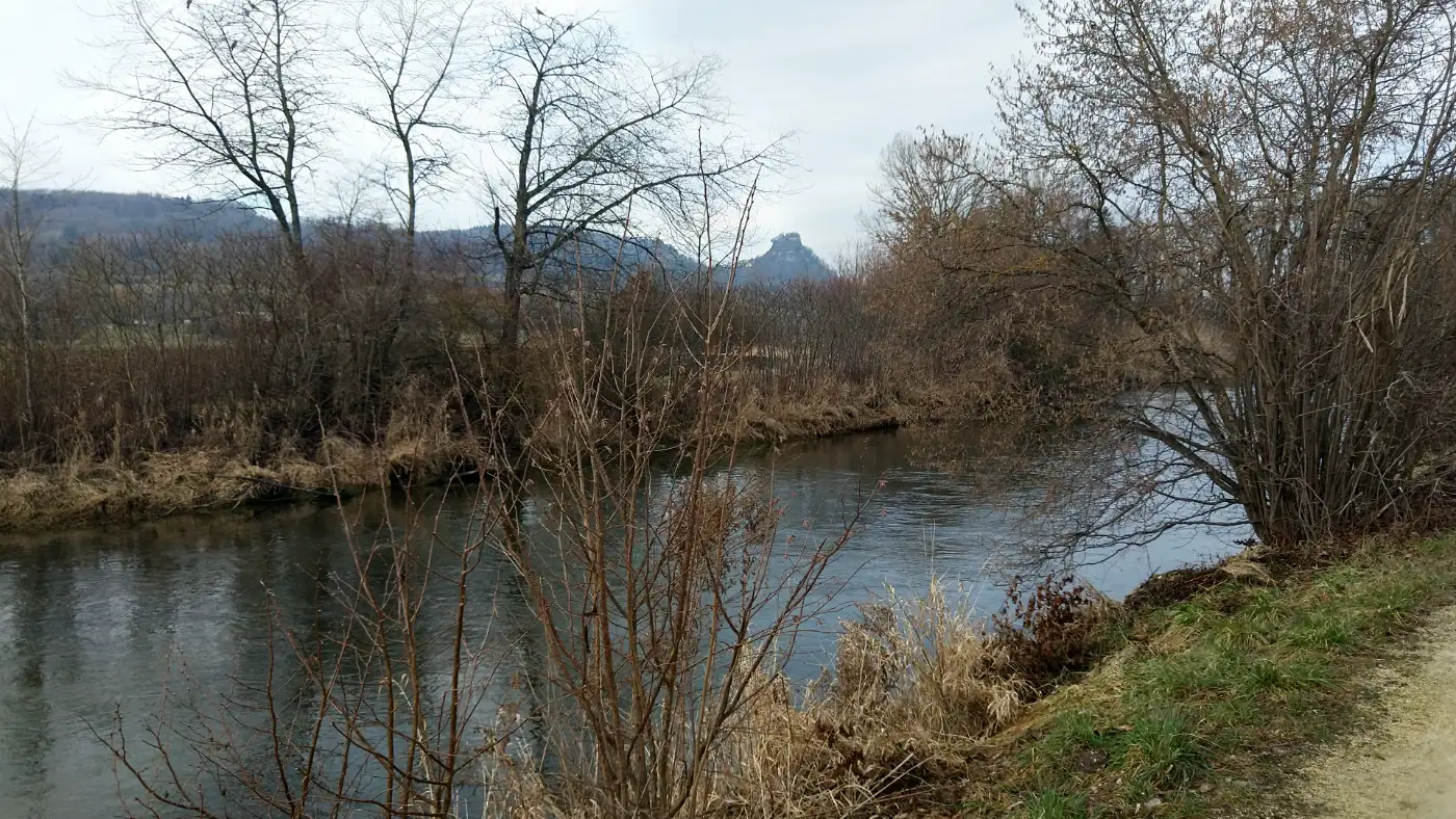 Bildtitel: Aachufer mit Blick auf Hohenkrähen
