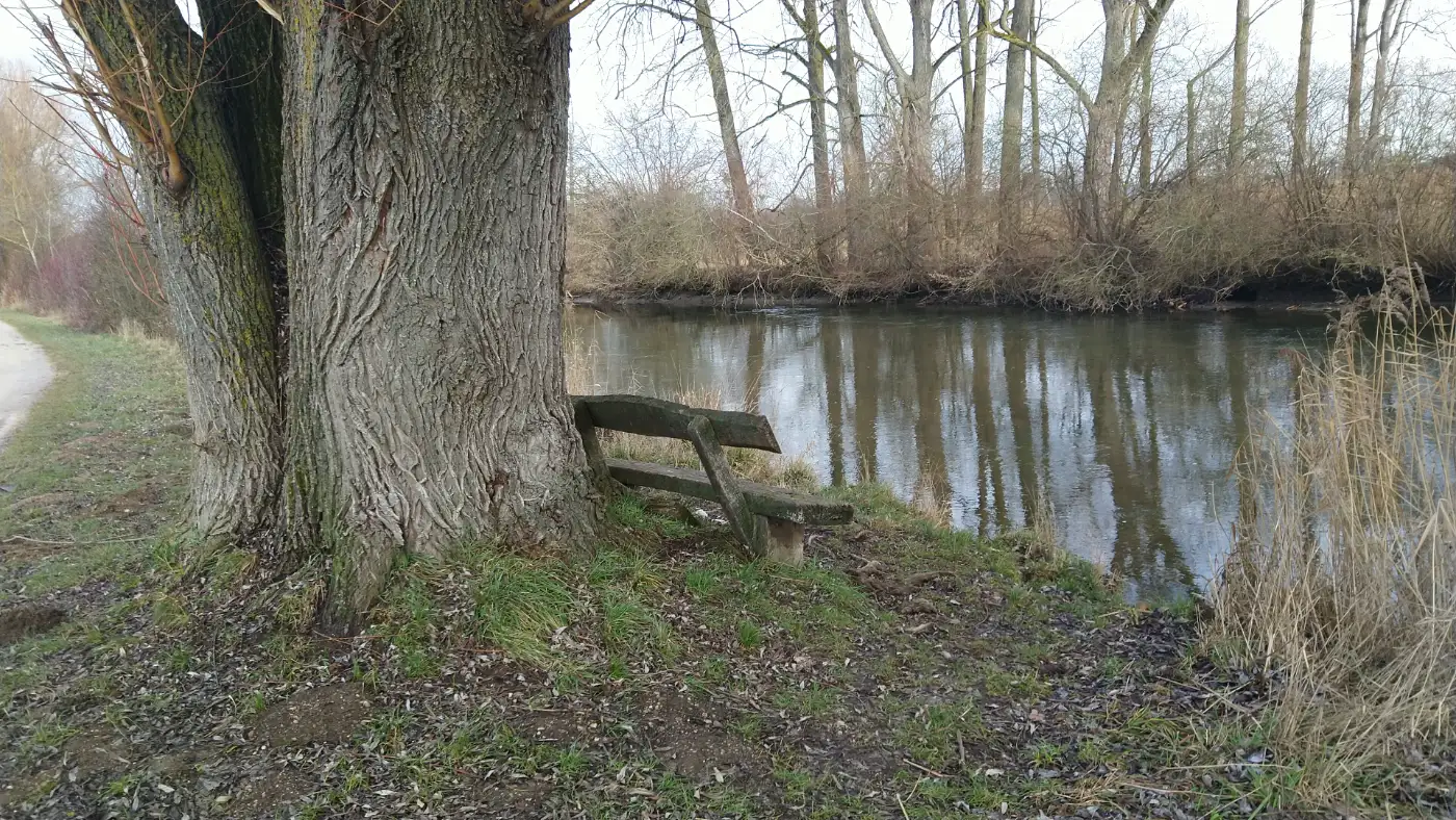 Bildtitel: Ruhebank an der Aach