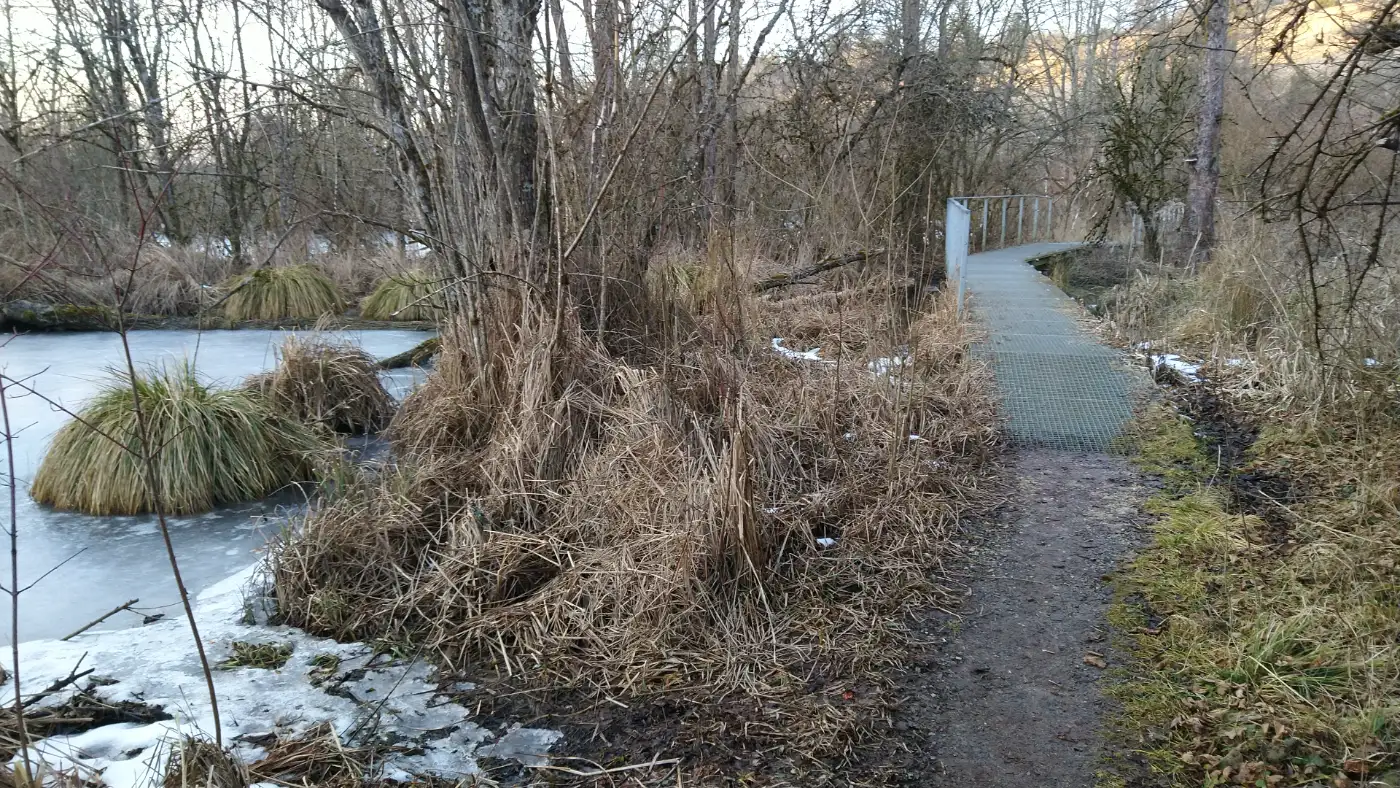 Bildtitel: Wegstege - Mühlbachweiher