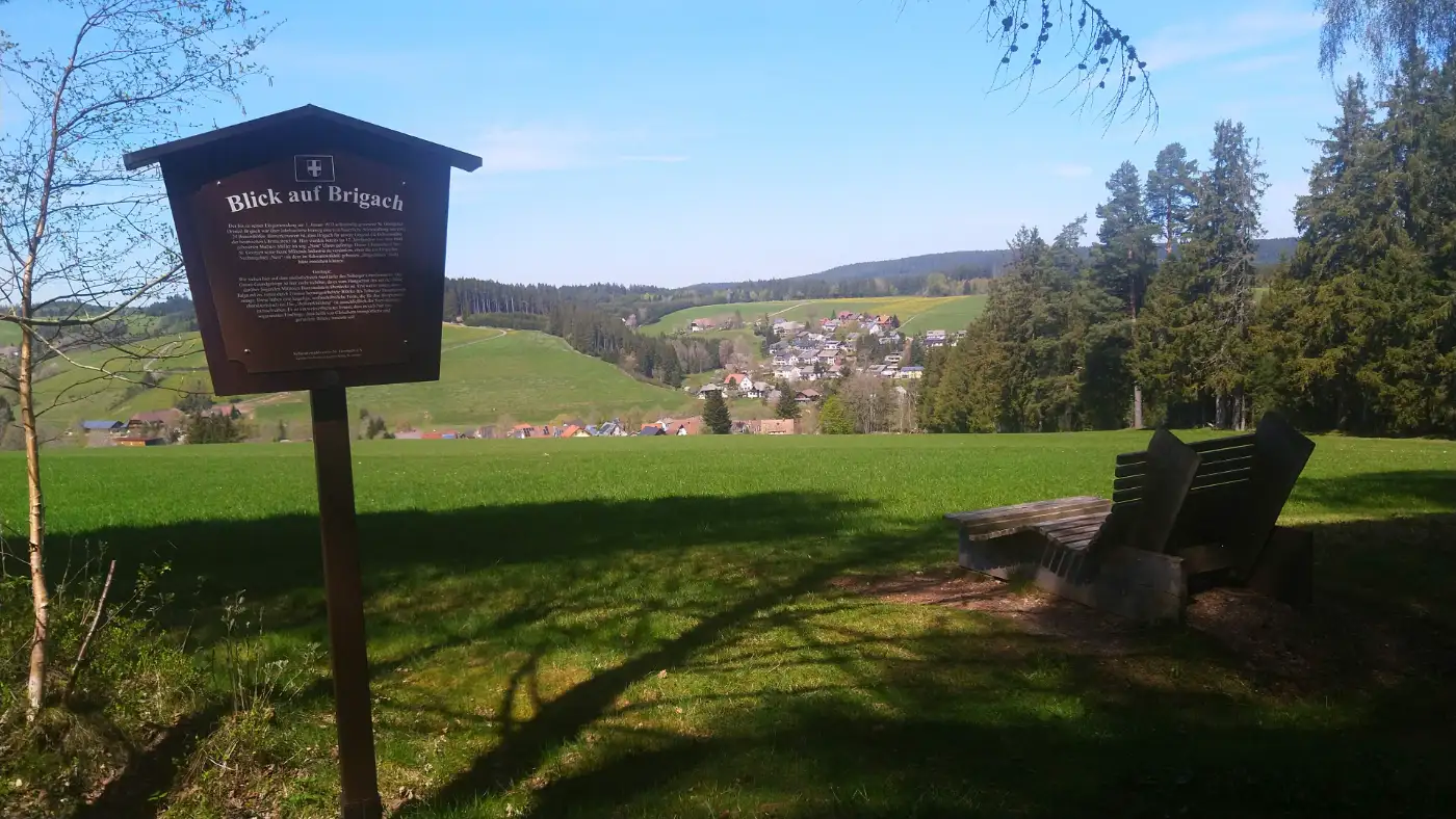 Bildtitel: Blick auf Brigach