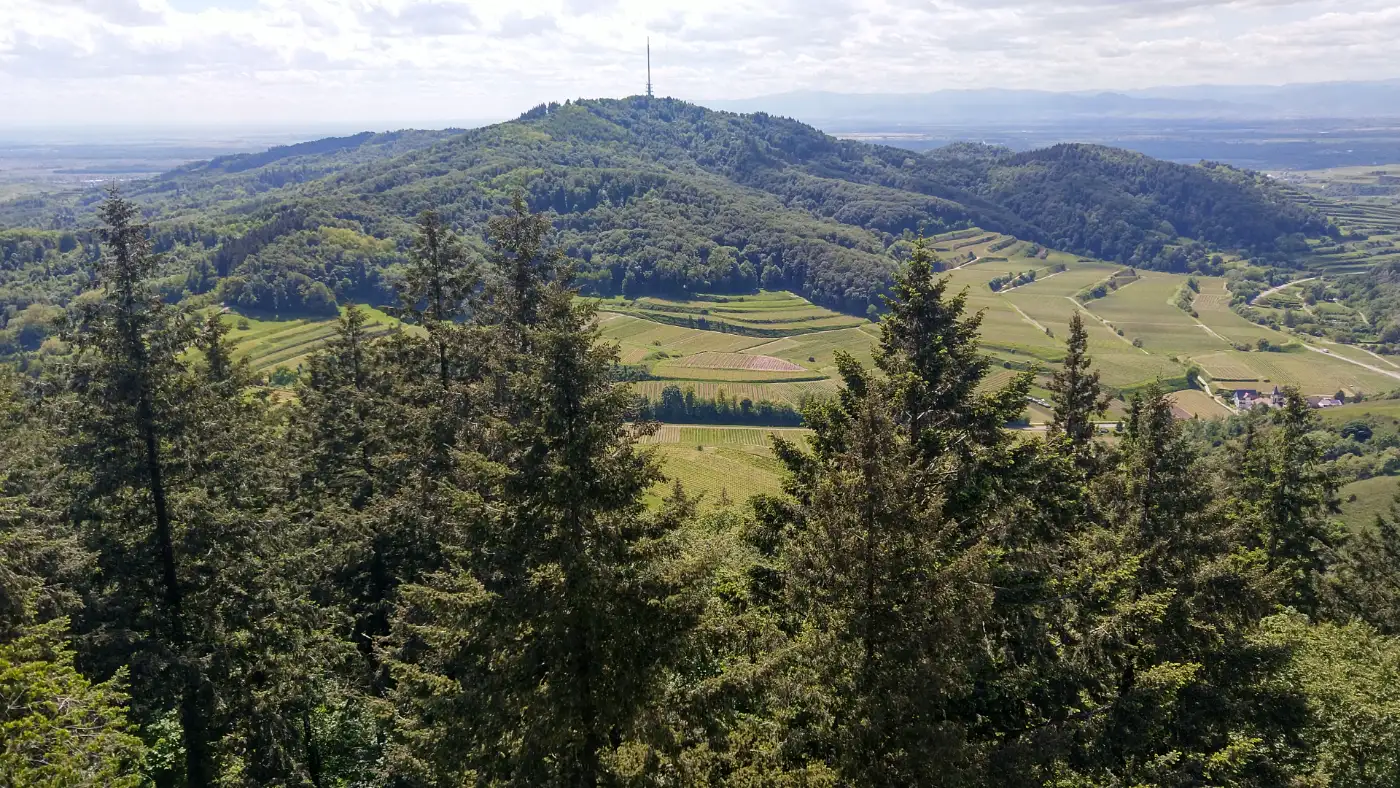 Bildtitel: Aussicht vom Eichelspitzturm zum Totenkopf