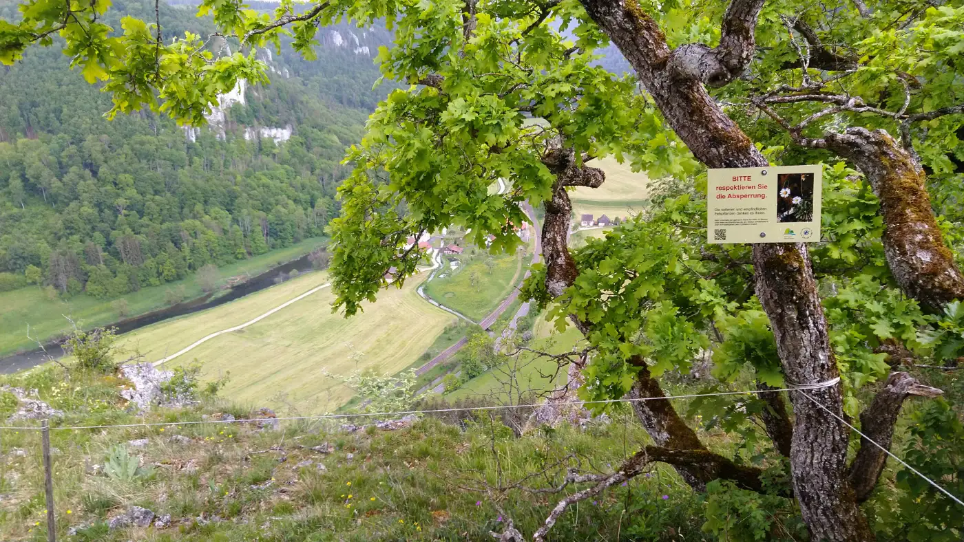 Bildtitel: Auf dem Korbfelsen