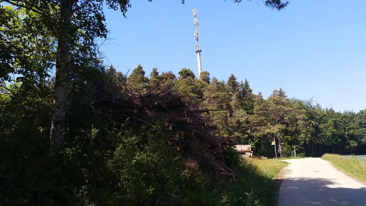 Bildtitel: Fürstenhöhe 794 m