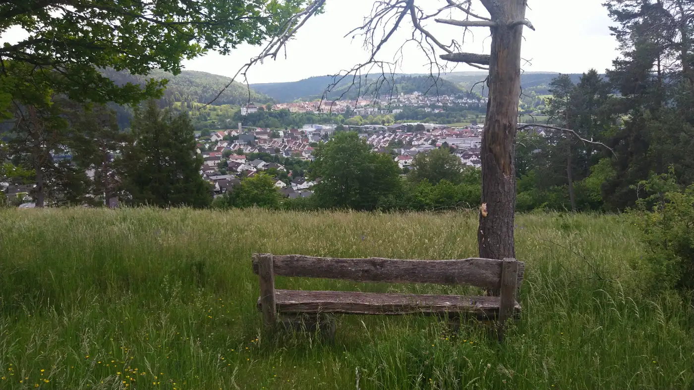 Bildtitel: Aussicht auf Mühlheim vom Galgenberg