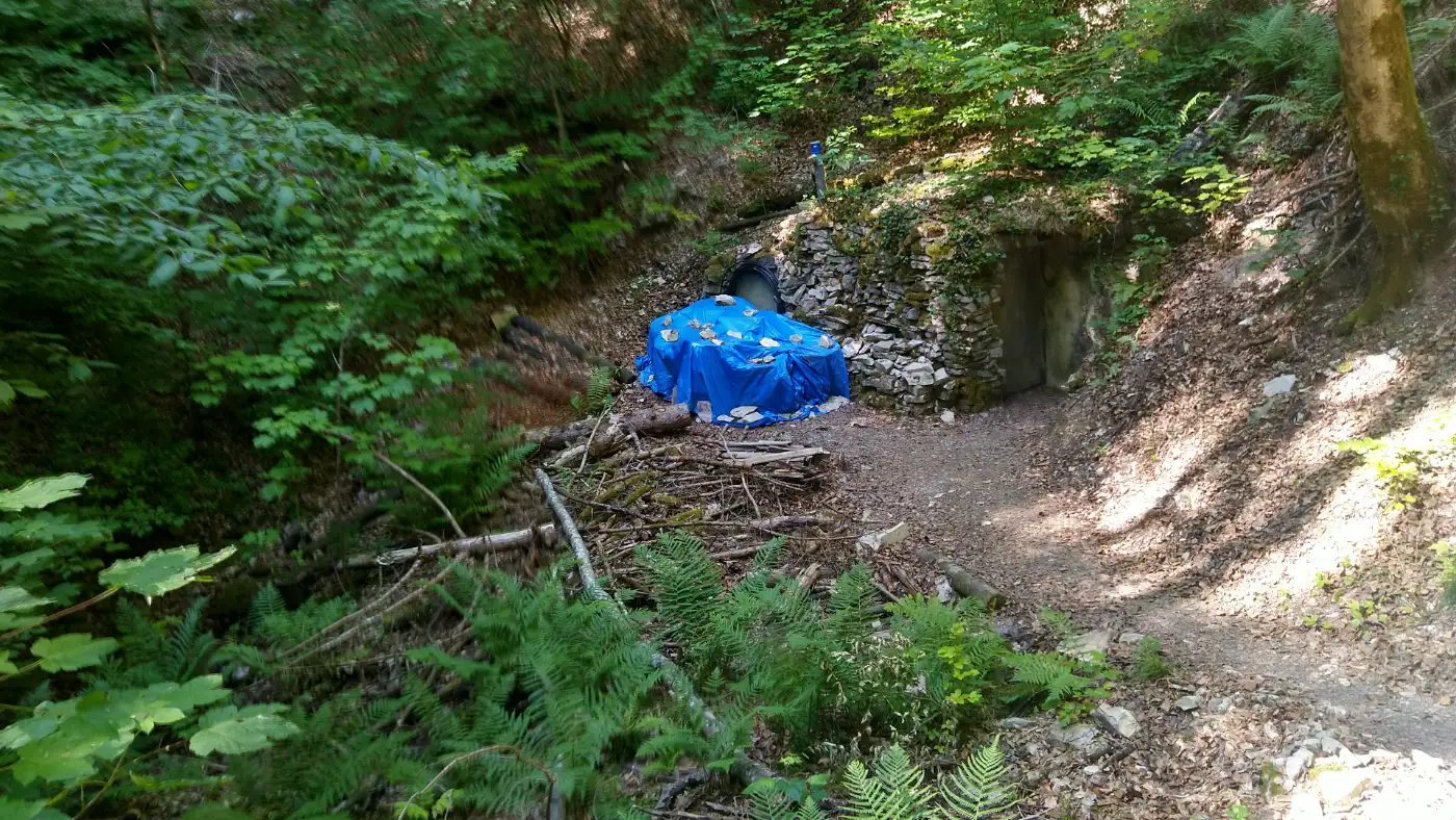 Bildtitel: Doline unterhalb des Dornsbergs
