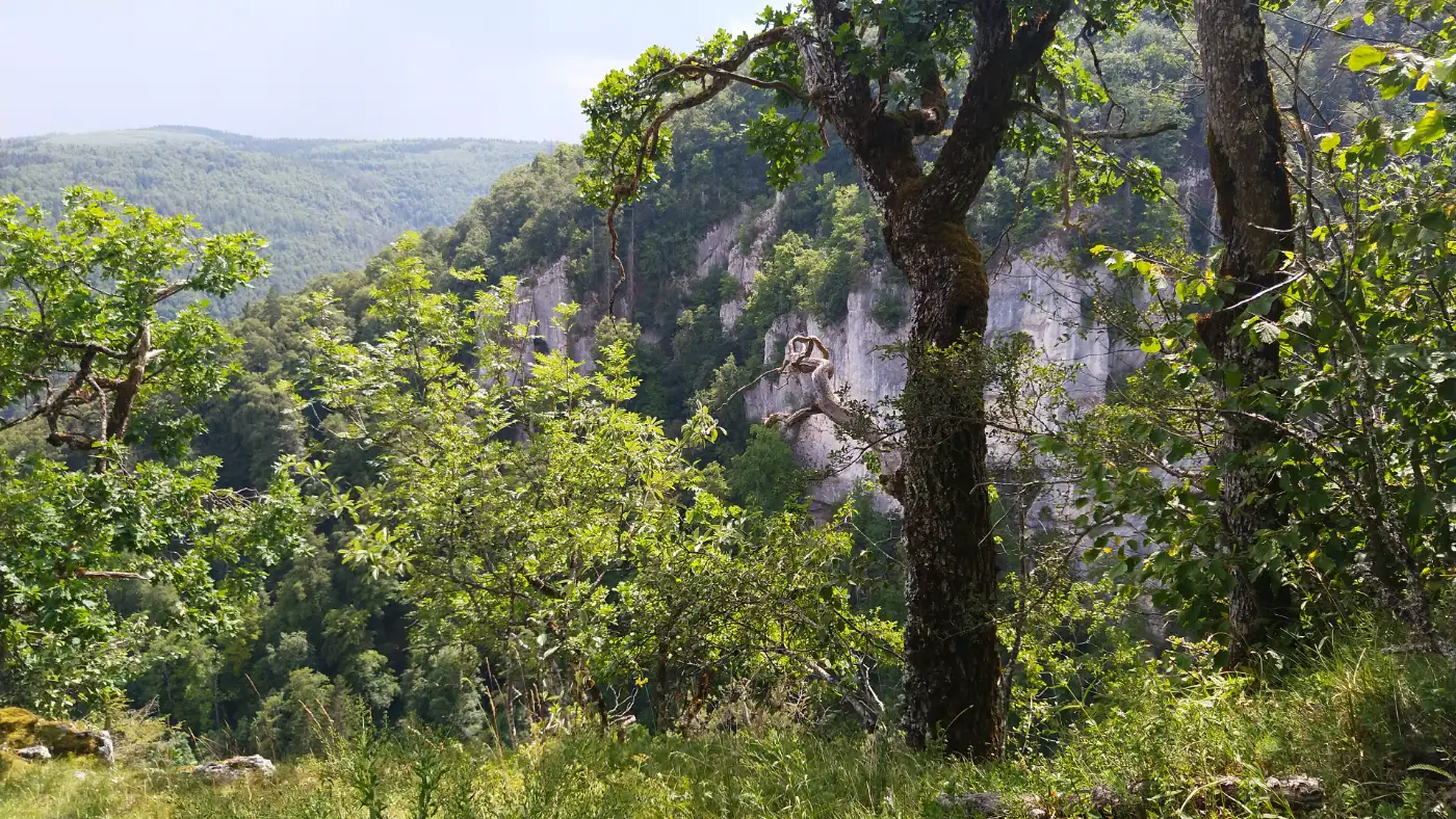 Bildtitel: Aussicht nahe des Heidenschlosses bei Neidingen