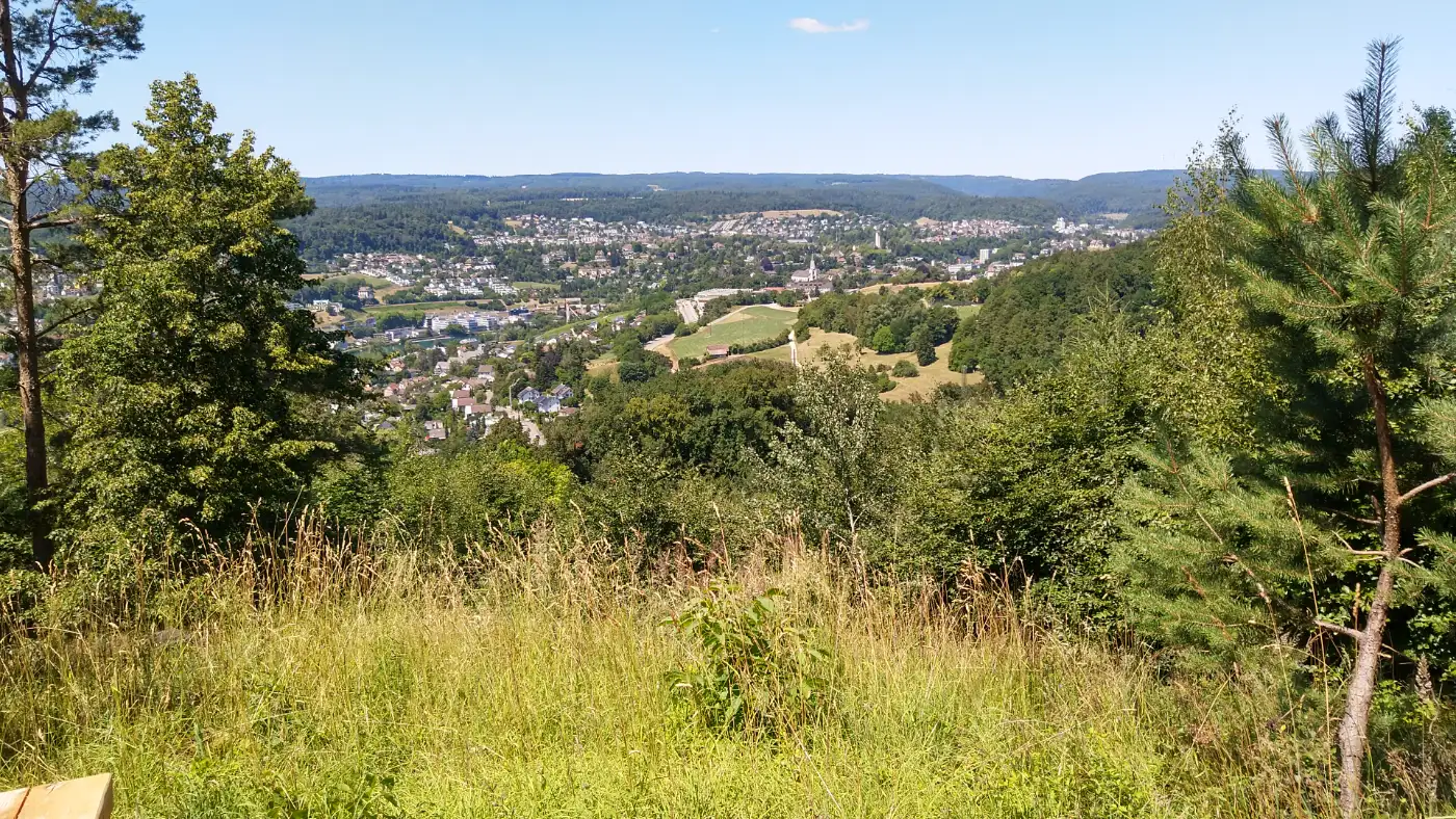 Bildtitel: Aussichtspunkt Feldberbblick auf dem Cholfirst