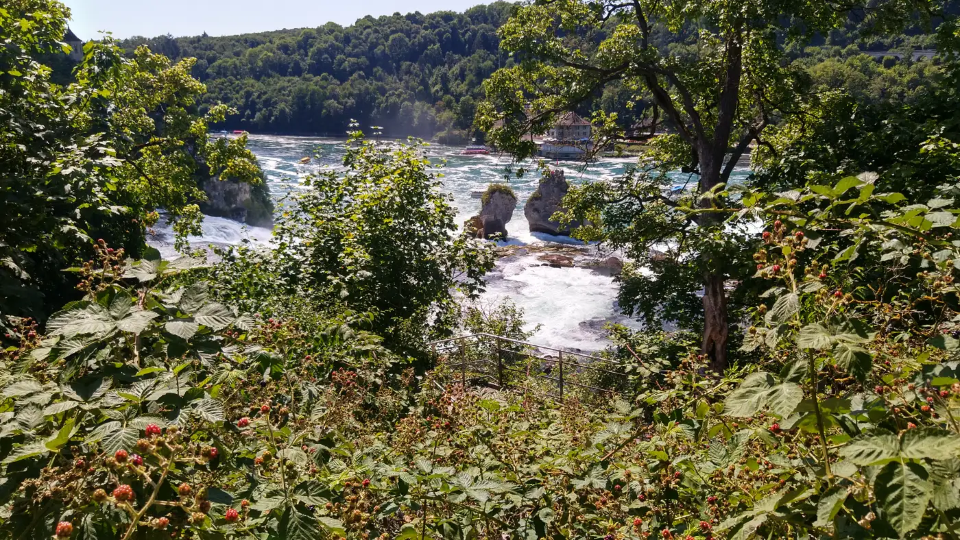 Bildtitel: Rheinfall in der NĂ€he von Schaffhausen