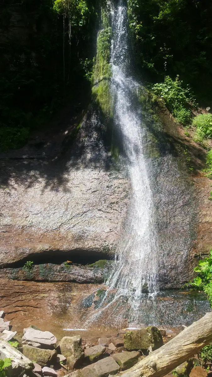 Bildtitel: Sankenbachwasserfall
