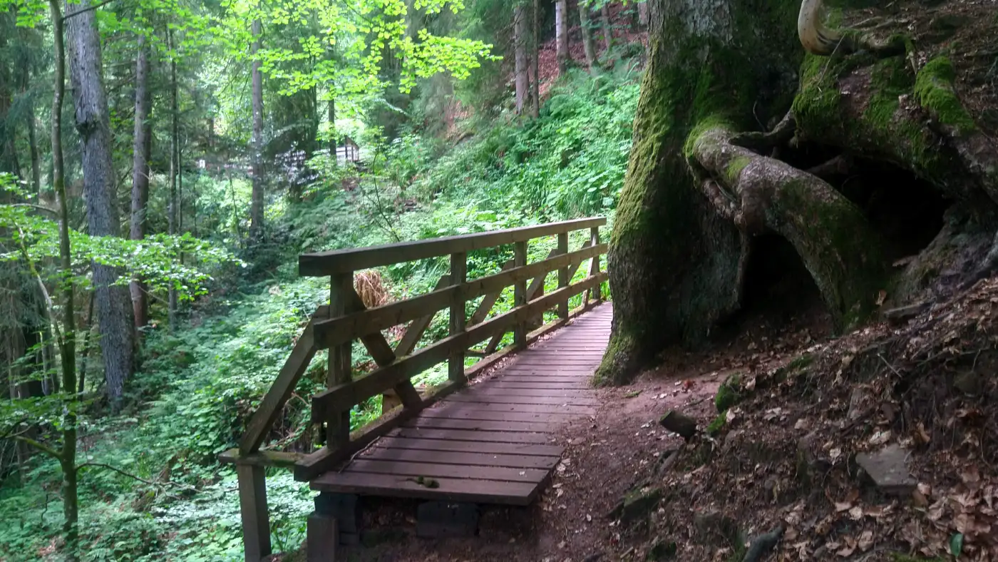 Bildtitel: Holzbrücke am Genießerpfad Sankenbachsteig