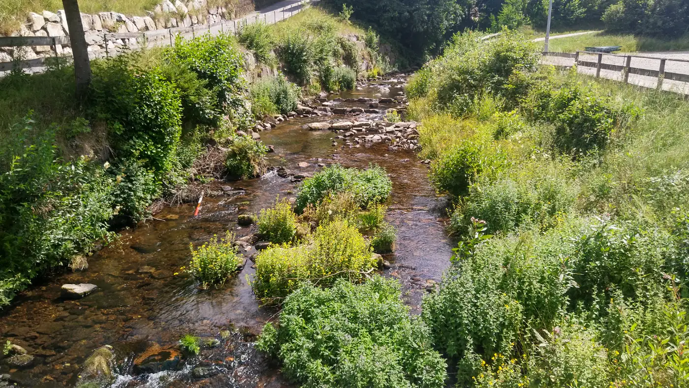 Bildtitel: die Murg bei Friedrichstal