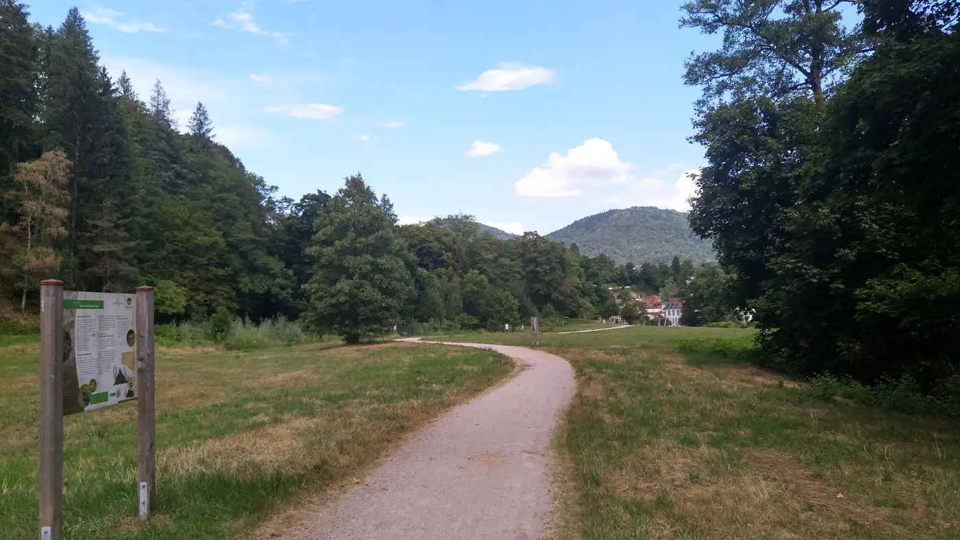 Bildtitel: Weg nach Baden-Baden Lichtental