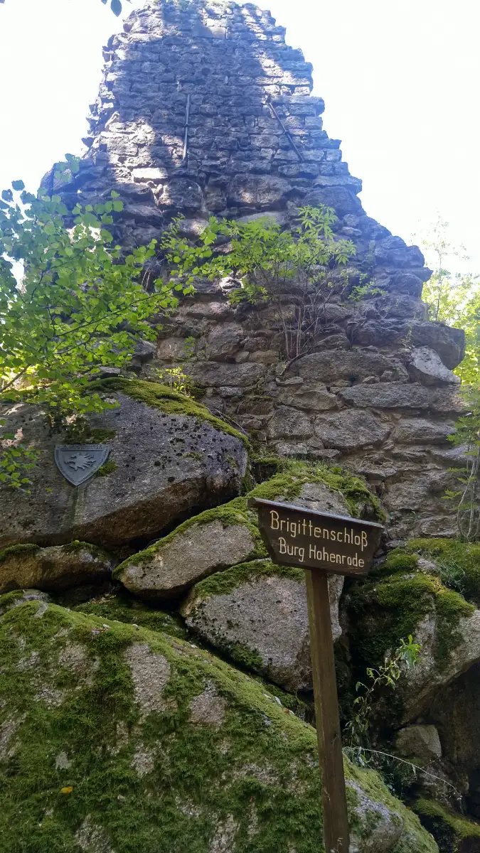 Bildtitel: Burgruine Brigittenschloss