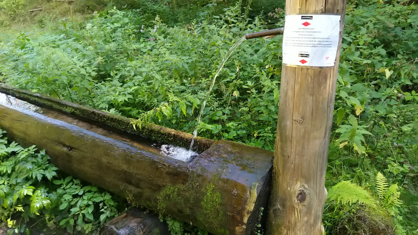 Bildtitel: Schäufelbachbrunnen im Schweinbachtal