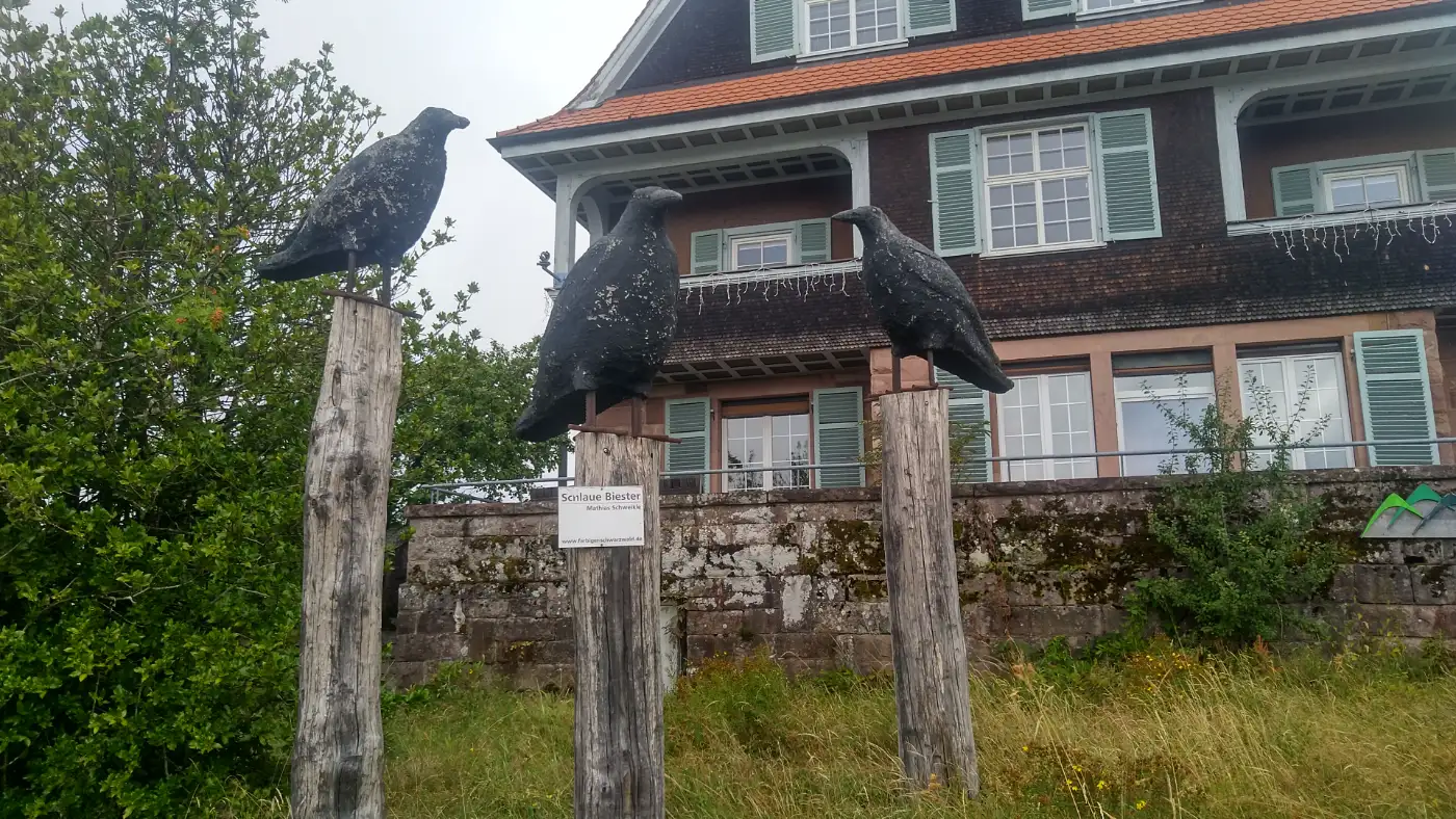 Bildtitel: Schlaue Biester - vor der Villa Klumpp am Ruhestein