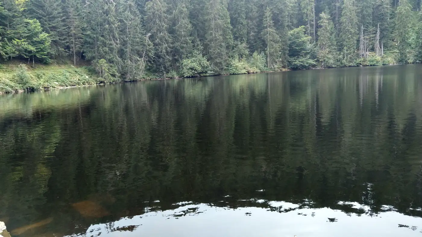 Bildtitel: Glaswaldsee - 839 m ü. NHN