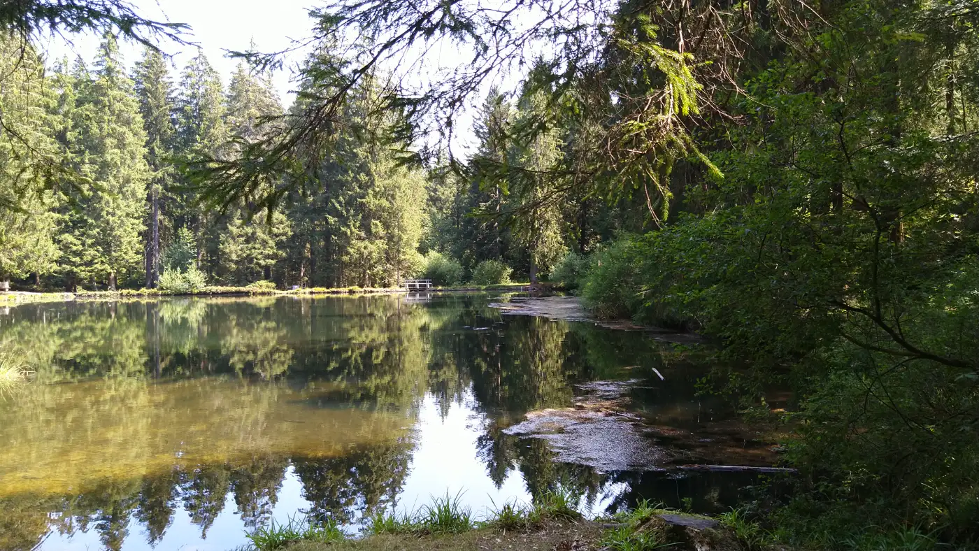 Bildtitel: der Sandsee in der Nähe von Herrenwies.