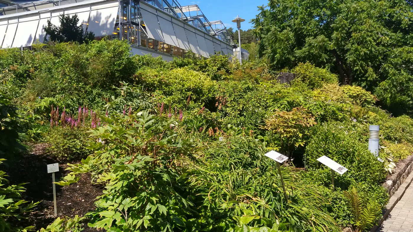 Bildtitel: Tropicarium links oben