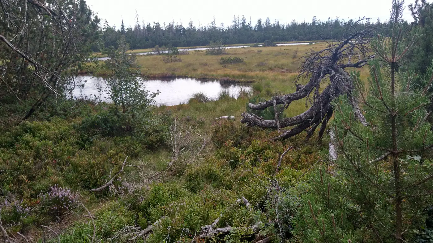 Bildtitel: großer Hohlohsee