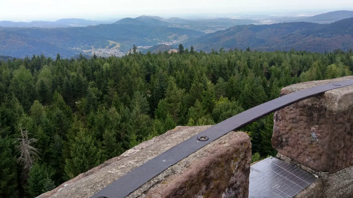 Bildtitel: Aussicht vom Hohlohturm
