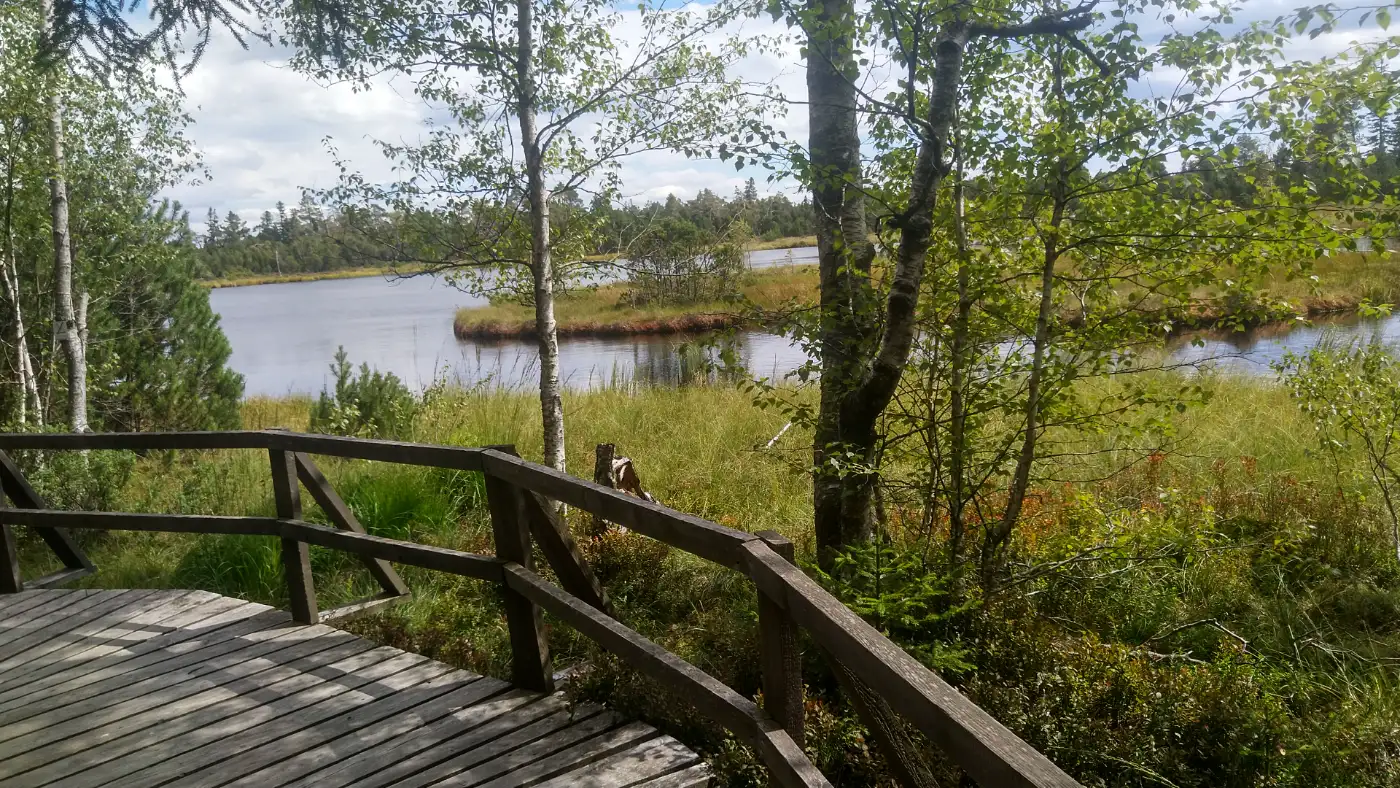 Bildtitel: Wildsee am Kaltenbronn