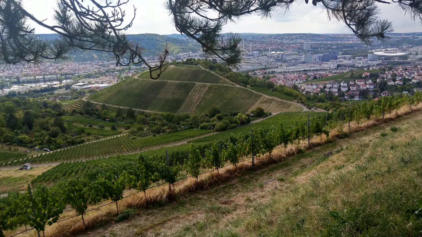 Bildtitel: Aussicht auf Stuttgart von der Grabkapelle