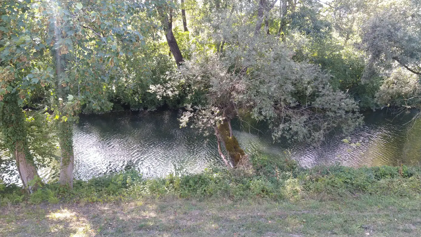 Bildtitel: Rhein Altarm mit bewaldetem Ufer