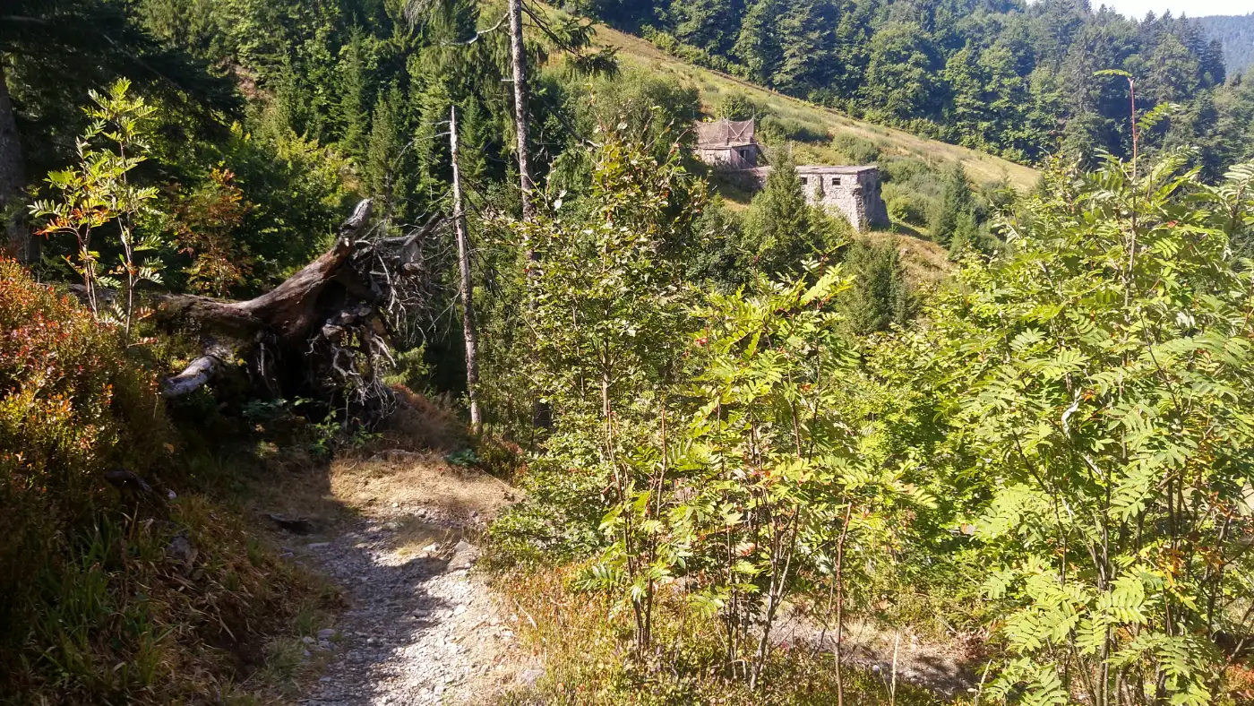 Bildtitel: Ruine der Feldbergschanzen im Fahler Loch