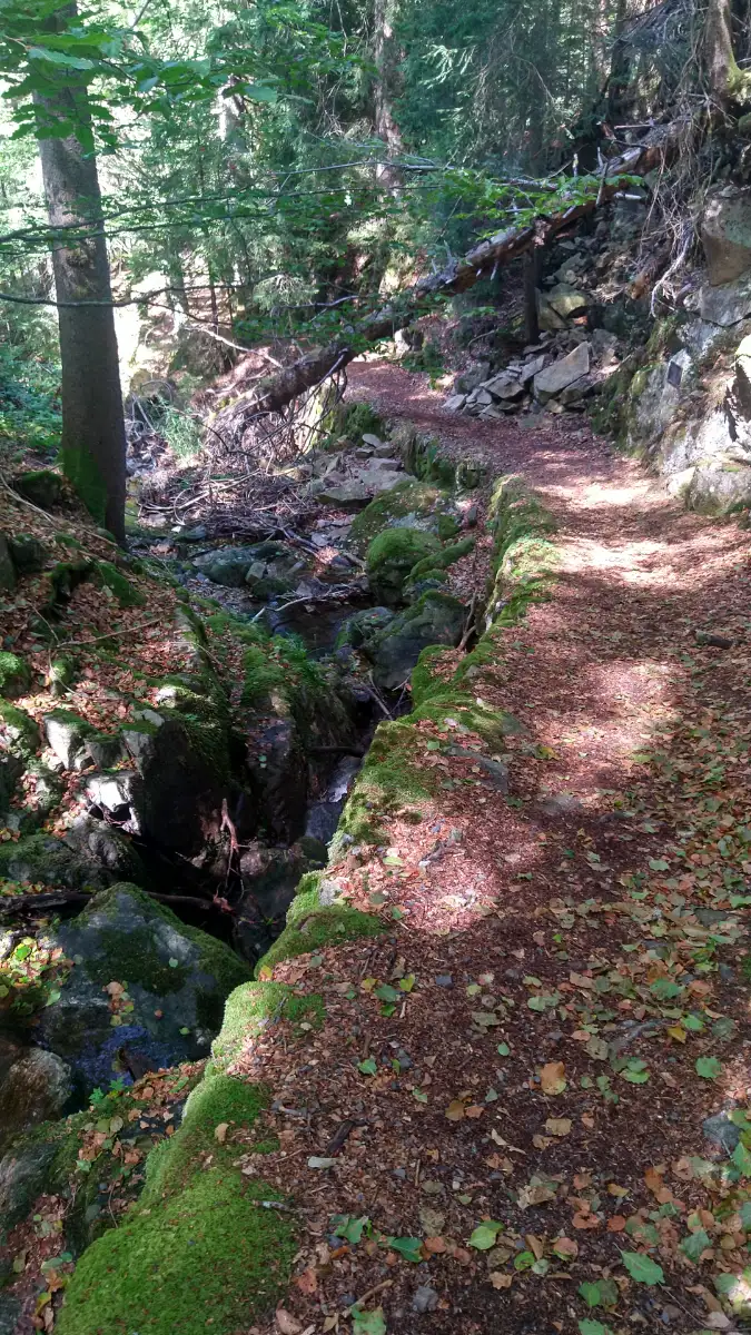 Bildtitel: Wasserfallsteig Todtnau