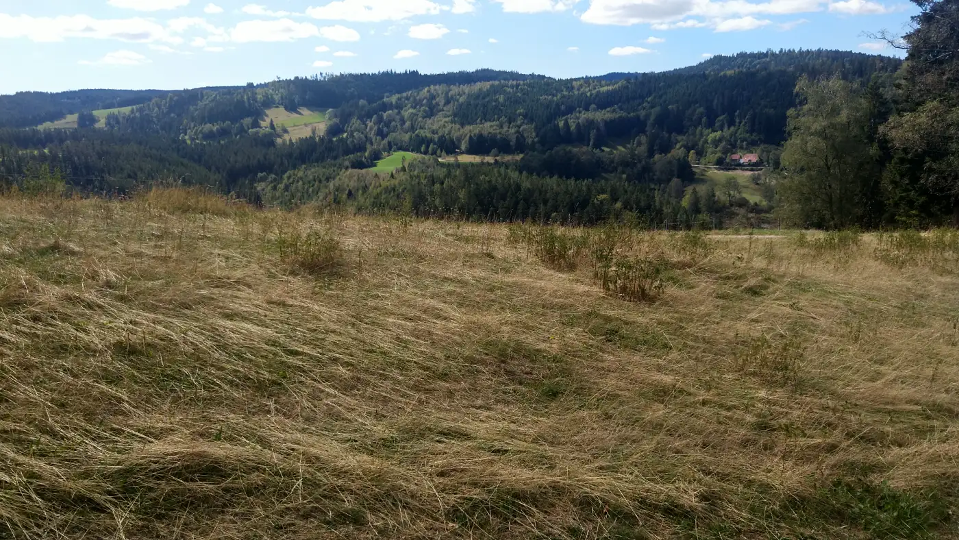Bildtitel: Landschaft bei Triberg - Station 11